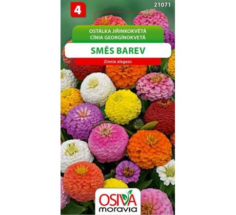 Ostálka jiřinkokvětá směs
