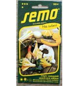 Tykev okrasná - andělská křídla