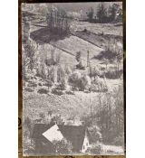 Vzpomínání v bílém - Jiří Pejša