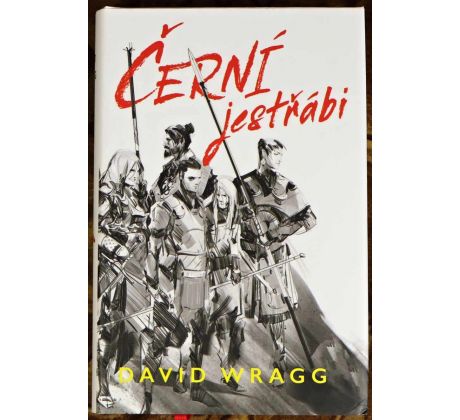Černí jestřábi - David Wragg