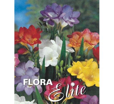 Freesia Single Mixed