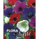 Anemone de Caen Mixed