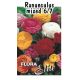 Ranunculus směs