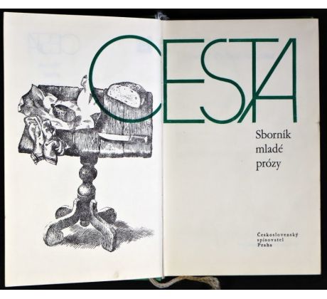 Cesta - Jan Adam, Zuzana Bělinová