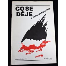 Co se děje v Československu - Jaroslav Vozka