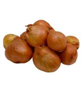 Cibule sazečka šalotka Red Sun - 500g