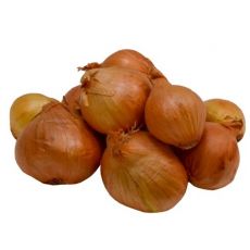 Cibule sazečka šalotka Red Sun - 500g