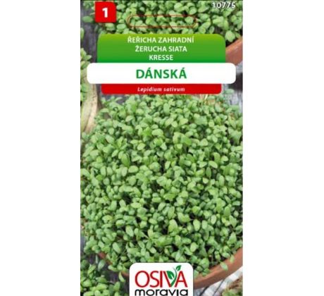 Řeřicha zahradní DÁNSKÁ