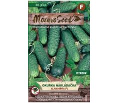 Okurka ALHAMBRA F1