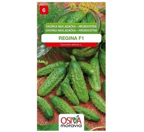Okurka REGINA F1