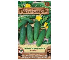 Okurka AMELIA F1