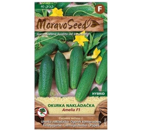 Okurka AMELIA F1