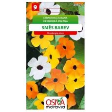 Černooká Zuzana mix