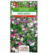 Lobelka drobná směs