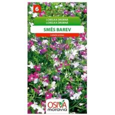 Lobelka drobná směs