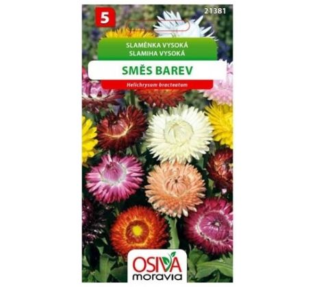Slaměnka vysoká - směs barev