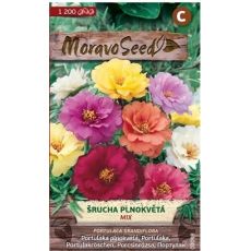 Šrucha velkokvětá - PLNOKVĚTÁ SMĚS BAREV
