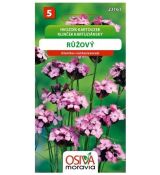 Hvozdík kartouzek růžový