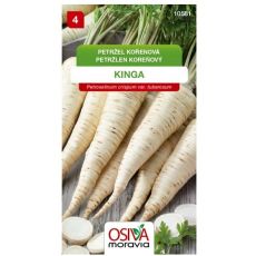Petržel KINGA