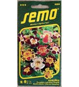 Kejklířka VELKOKVĚTÁ SMĚS