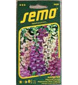 Náprstník EXCELSIOR SMĚS