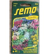 Směs květin pro SKALKY