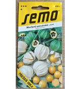 Mochyně peruánská - TŘEŠEŇ INKA