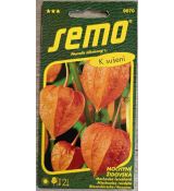 Mochyně PERUÁNSKÁ ORANŽOVÁ