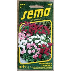 Sedmikráska PLNOKVĚTÁ SMĚS