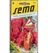 Paprika BHUT JOLOKIA RED