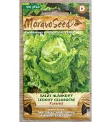 Salát hlávkový, ledový, celoroční KAMELOT