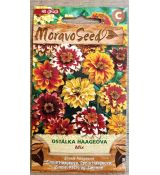 Ostálka Haageova mix