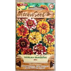 Ostálka Haageova mix