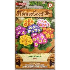 Prvosenka vyšší - SMĚS BAREV