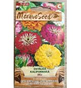 Ostálka kalifornská - SMĚS BAREV