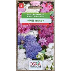 Nestařec mexický směs