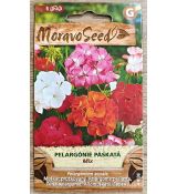 Muškát vzpřímený (zonale) - SMĚS BAREV