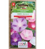 Povíjnice nachová směs