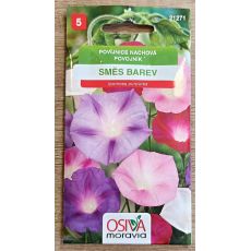 Povíjnice nachová směs