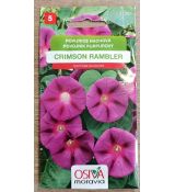Povíjnice nachová Crimson Rambler