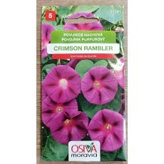 Povíjnice nachová Crimson Rambler