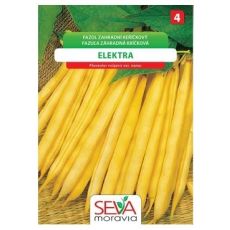 Keříčkový fazol Elektra