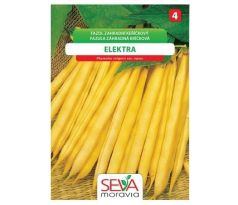 Keříčkový fazol Elektra