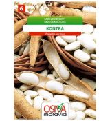 Keříčkový fazol KONTRA