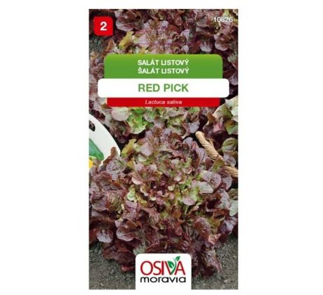 Salát listový červený RED PICK