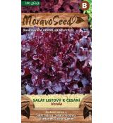 Salát listový VERALA