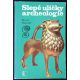 Slepé uličky archeologie - Karel Sklenář