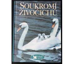 Soukromí živočichů - kolektiv autorů