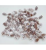 Šiška zasněžená