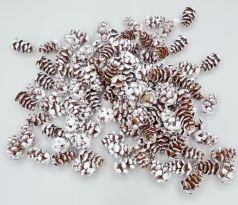 Šiška zasněžená